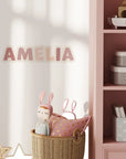 Personalised Name Decals - Playful - Blush - DW13. Custom