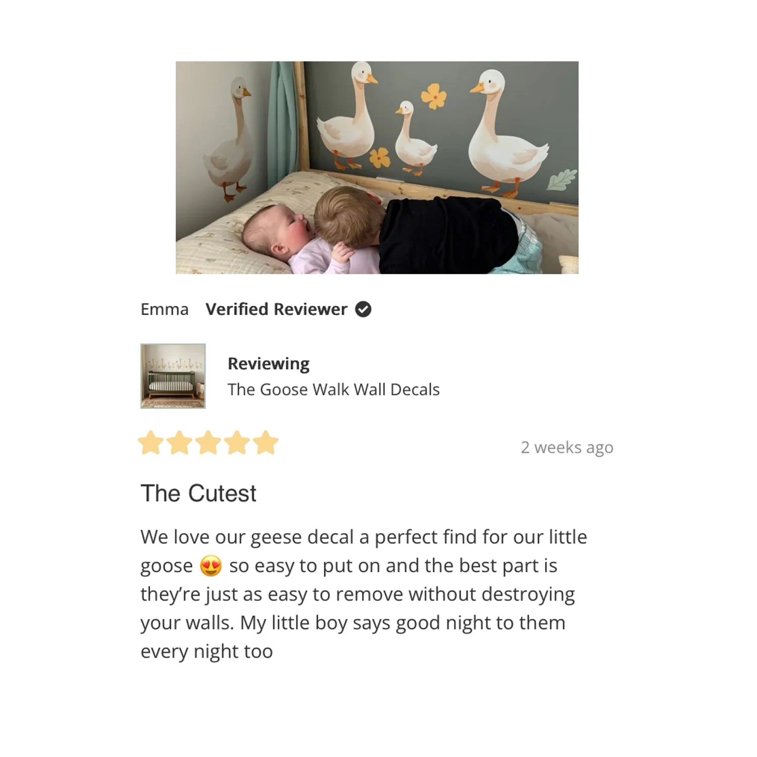 The Goose Walk Wall Decals - DW5. Animal