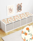 Fruity Peaches Decal DF5.