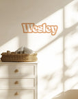 Personalised Name Decals - Bold - DW13. Custom names