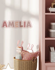 Personalised Name Decals - Playful - Blush - DW13. Custom