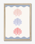 Shell Trio Print - WP1. Wall Prints