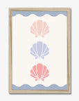 Shell Trio Print - WP1. Wall Prints