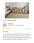 Trofast Tub Fruity Peaches Decals - DF2. Tubs