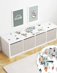 World Map Decal DF5.